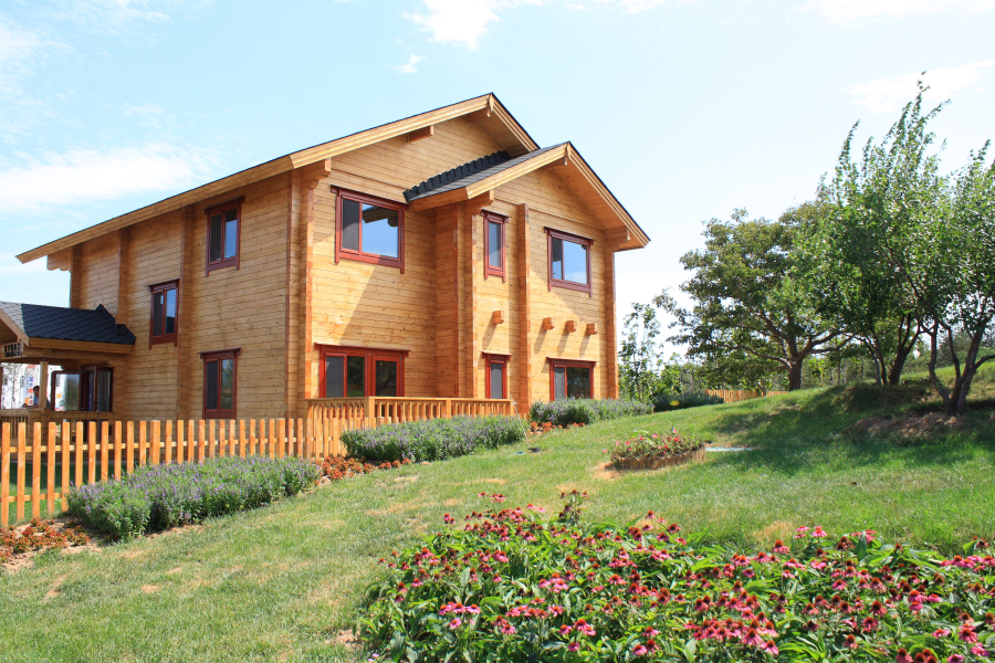 cabane dans les arbres camping